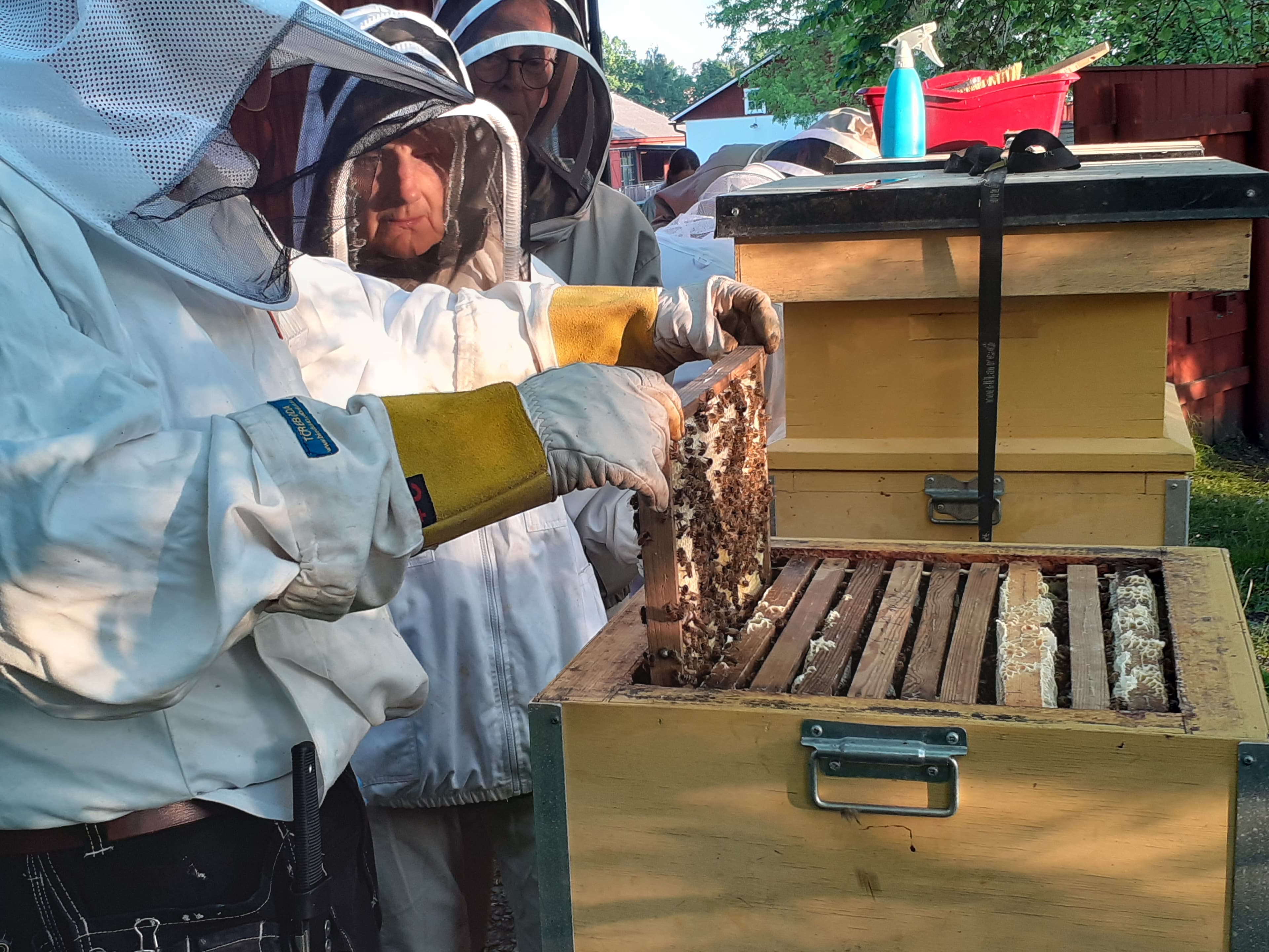 evenemangsbild för Biodlingskurs