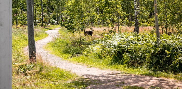 Värsås elljusspår